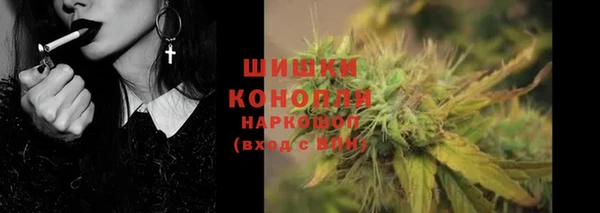 ГАЛЛЮЦИНОГЕННЫЕ ГРИБЫ Кукмор