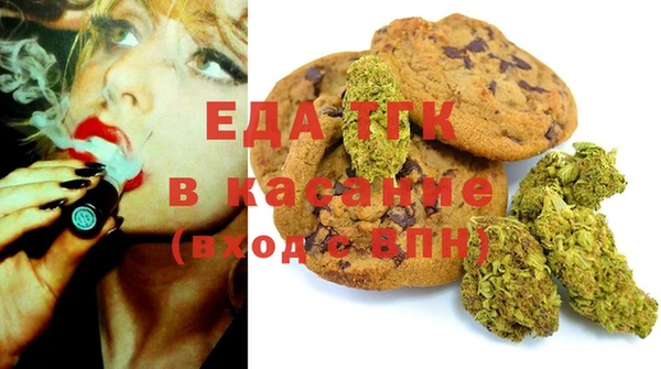 тгк Бердск