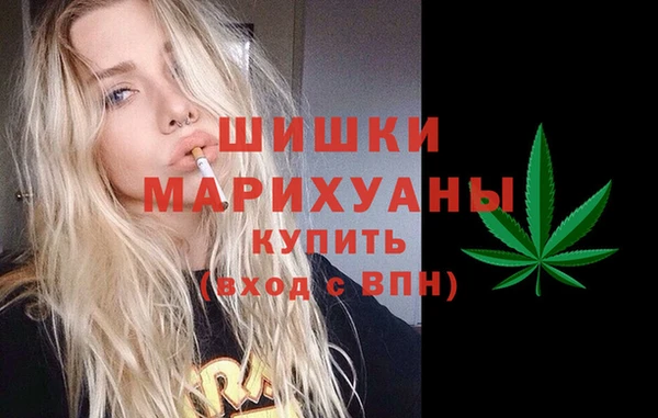 ГАЛЛЮЦИНОГЕННЫЕ ГРИБЫ Кукмор