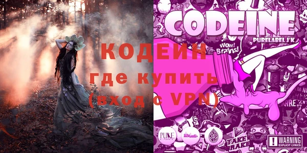 ГАЛЛЮЦИНОГЕННЫЕ ГРИБЫ Кукмор