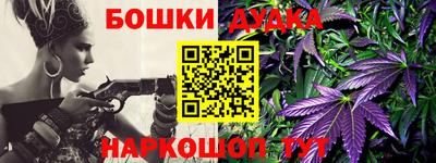 спиды Камышлов