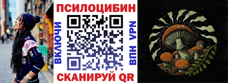 Галлюциногенные грибы Psilocybe  Нерюнгри 