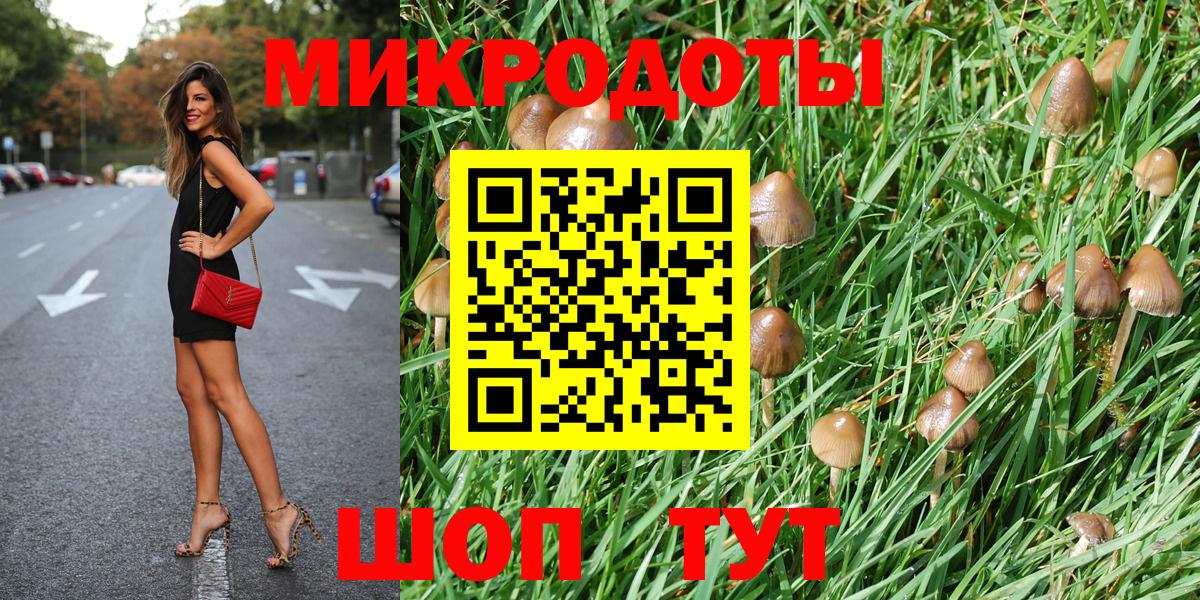 Псилоцибиновые грибы Psilocybine cubensis  Нерюнгри 