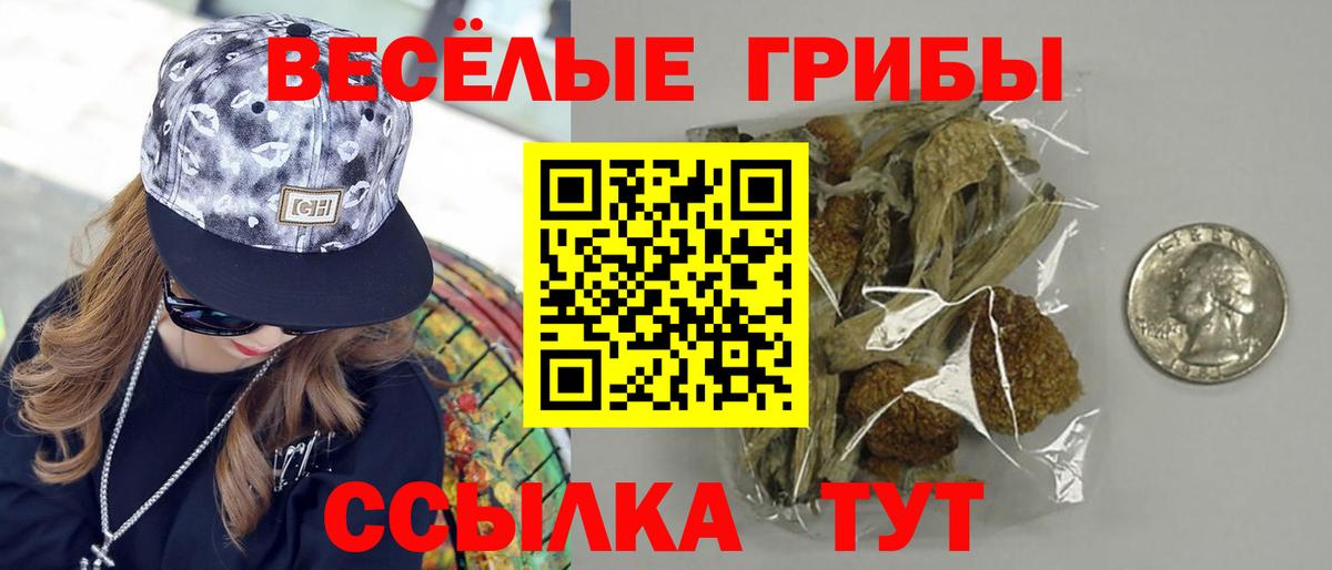 Псилоцибиновые грибы Psilocybine cubensis  Вход с VPN  Нерюнгри  Галлюциногенные грибы Magic Shrooms 