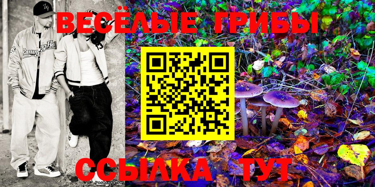 Псилоцибиновые грибы Cubensis Нерюнгри