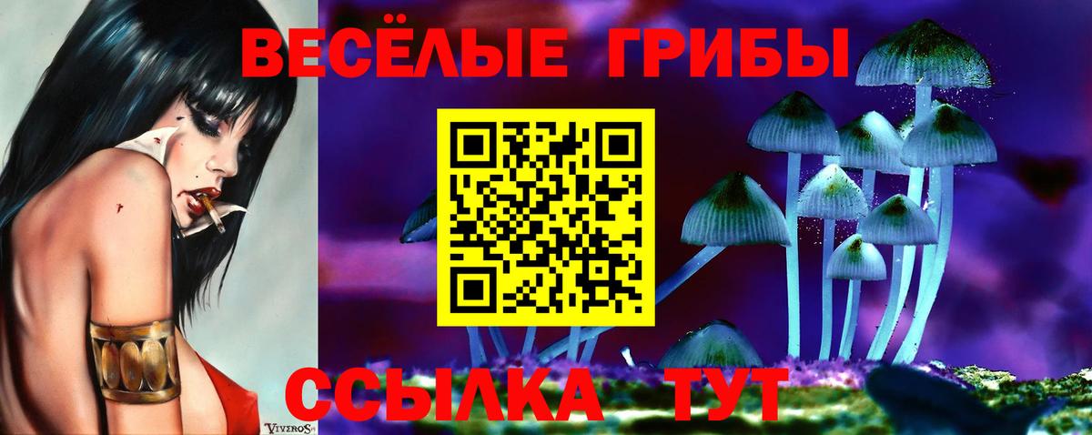 Псилоцибиновые грибы Psilocybine cubensis Нерюнгри
